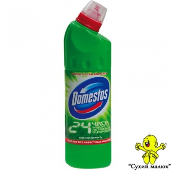 Засіб дезинфікуючий Domestos Хвоя 1000 мл