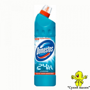 Засіб дезинфікуючий Domestos 24 Plus Atlantic Fresh 750 мл
