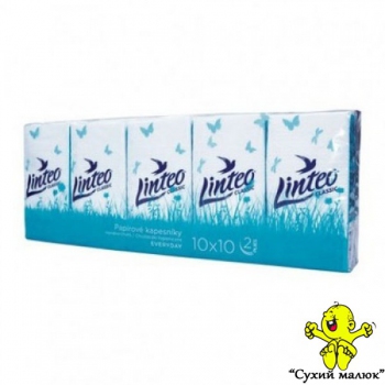 Салфетки сухі блочки Linteo 10уп, блок