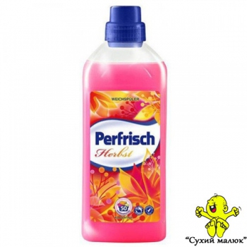 Кондиціонер PERFRISCH Herbst (1000мл)